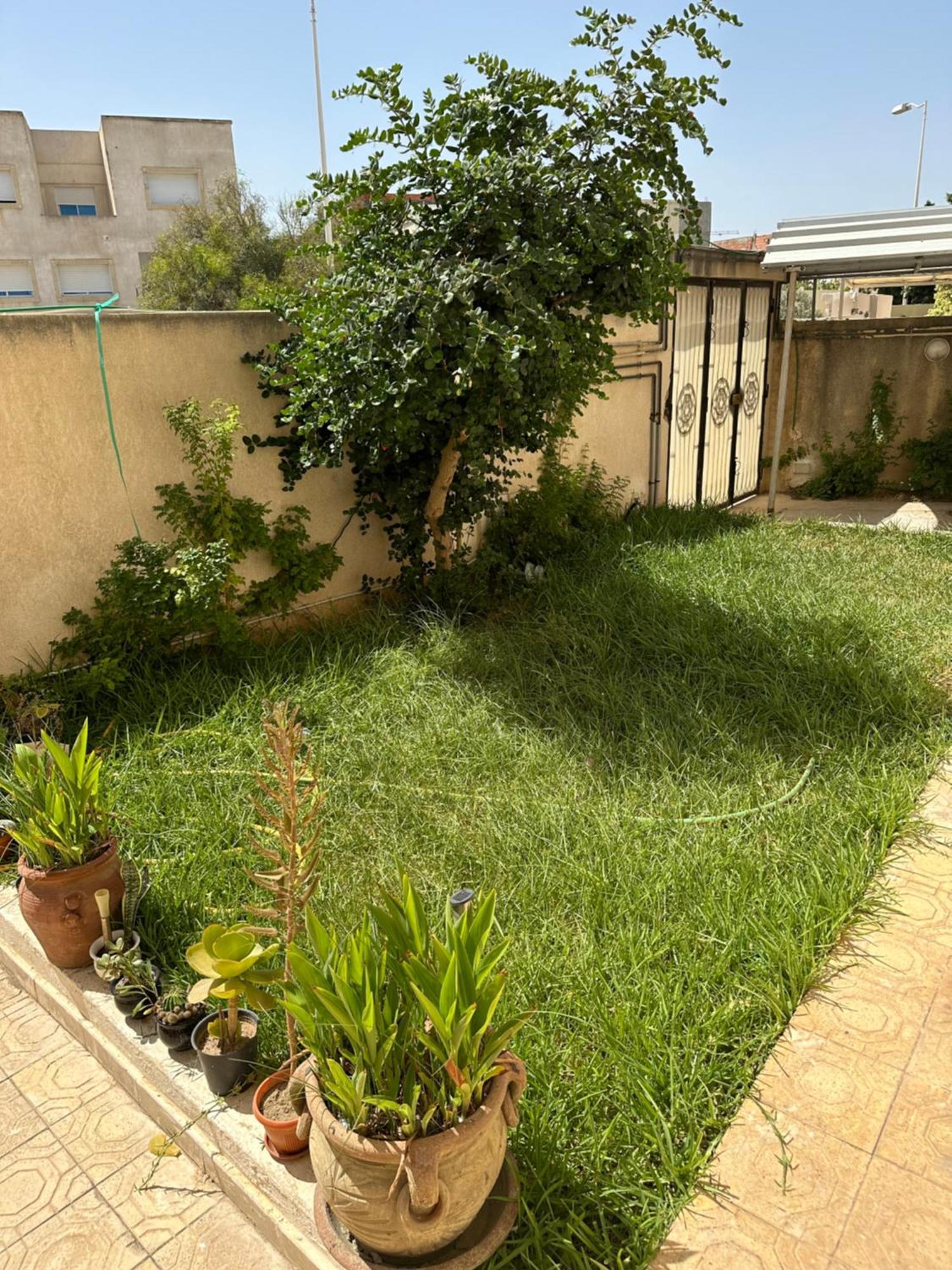 Garden House Jardin De Carthage Lägenhet Sidi Daoud Exteriör bild